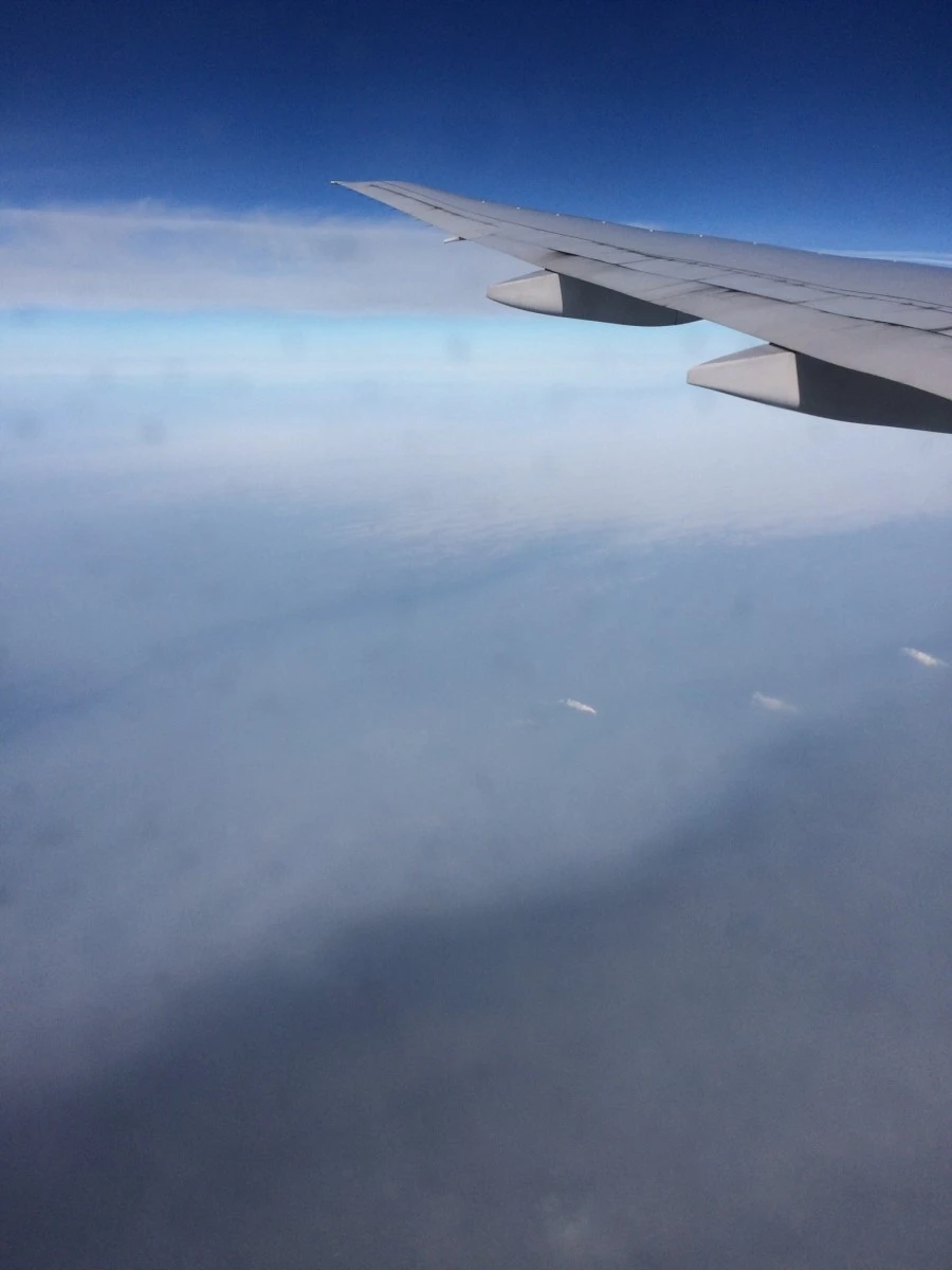 IMG_8243.jpg?type=w1