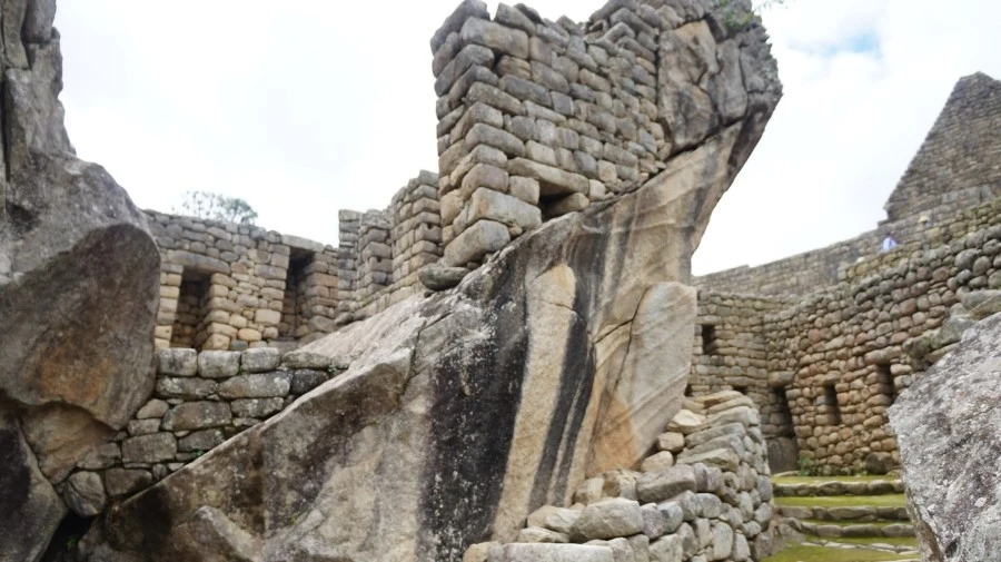 DSC01522.jpg?type=w1