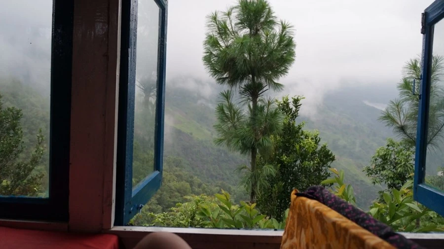 DSC01016z.jpg?type=w1