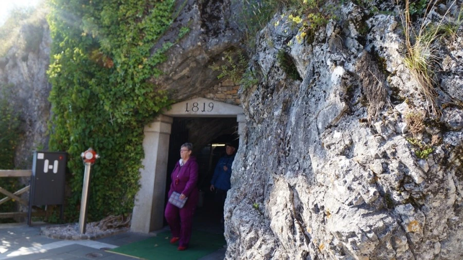 DSC06550.jpg?type=w1