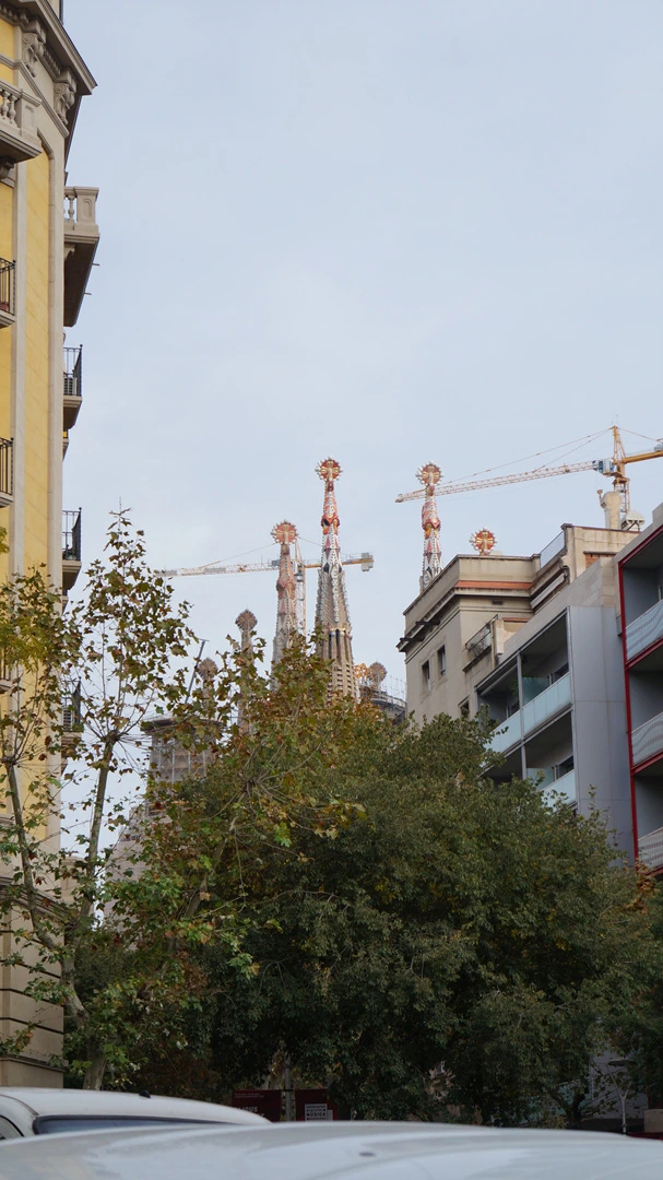 DSC09408.jpg?type=w1