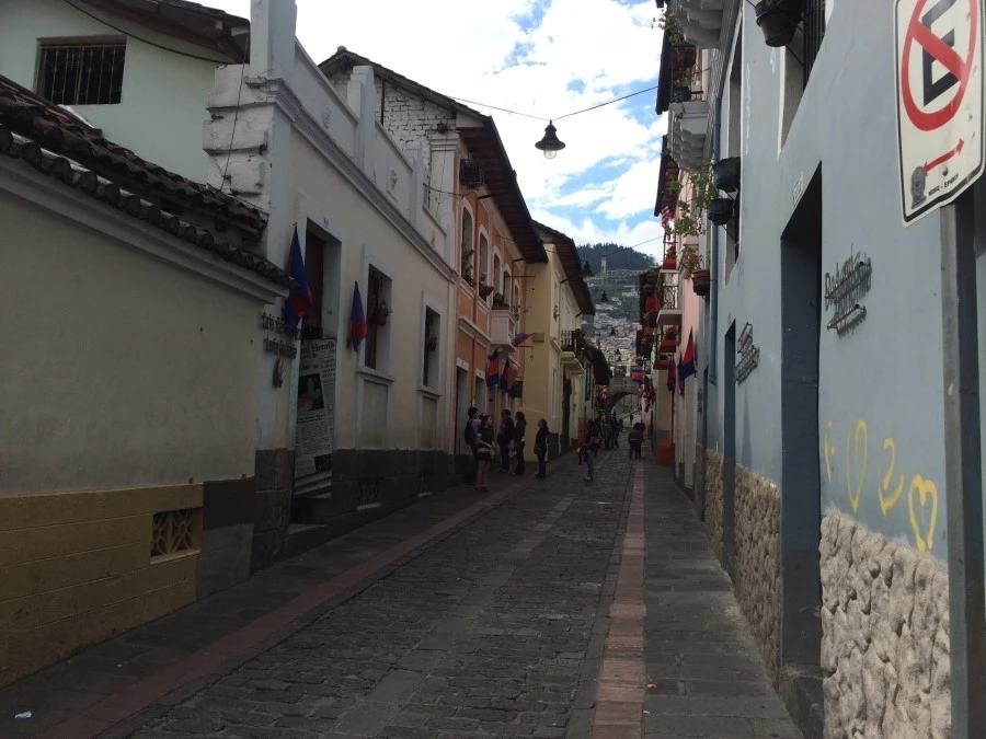 IMG_8012.jpg?type=w1