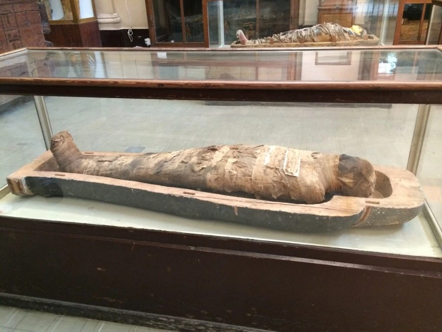 IMG_3272.jpg?type=w1