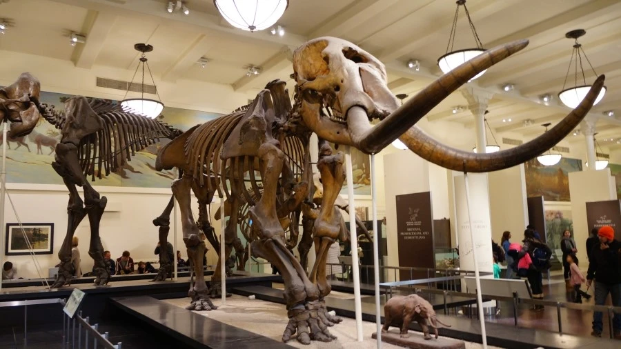 DSC04403.jpg?type=w1