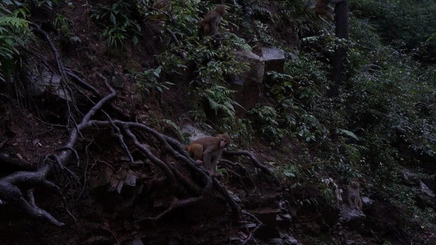 DSC02612.jpg?type=w1