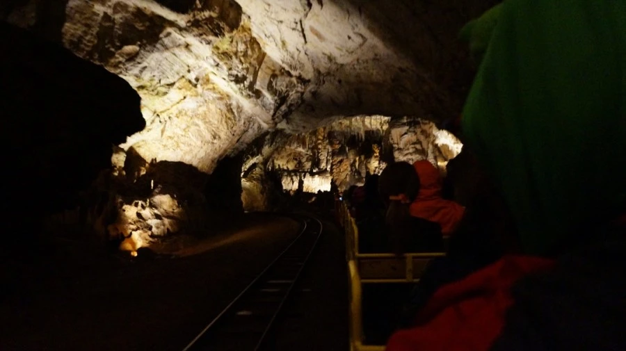 DSC06496.jpg?type=w1