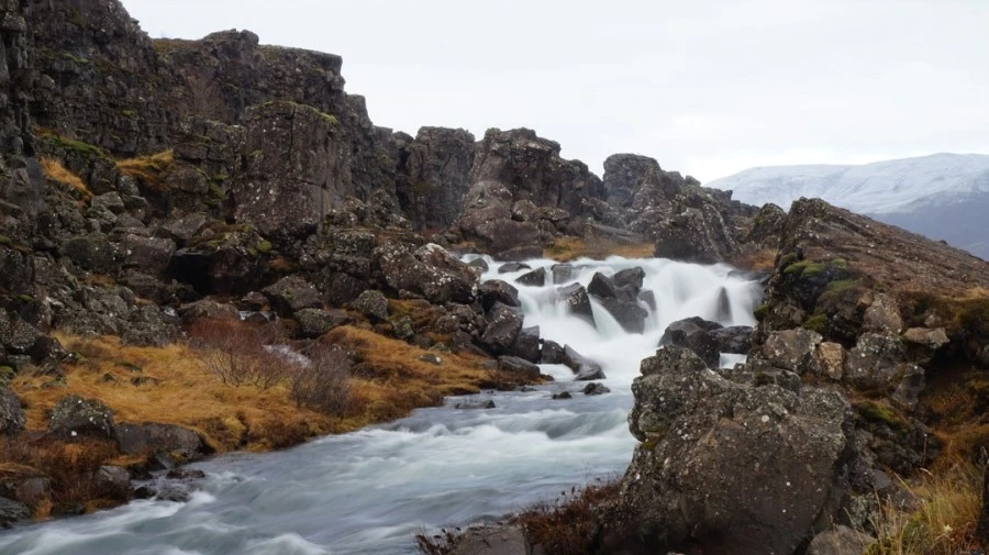 DSC07570%E3%85%A1.jpg?type=w1