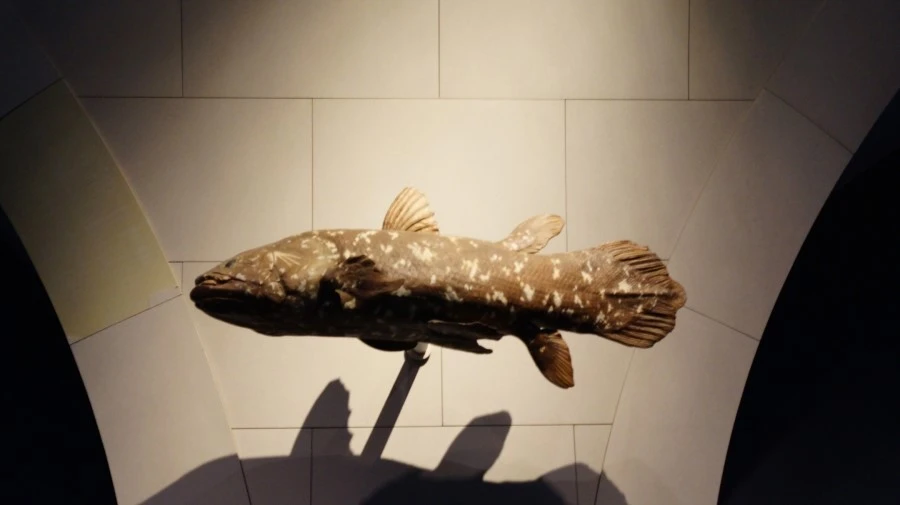 DSC04368.jpg?type=w1