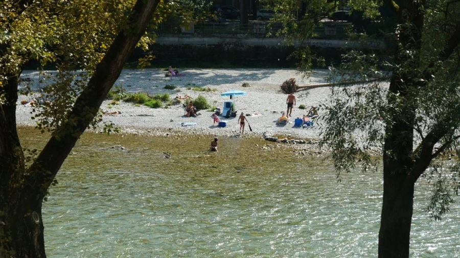 DSC05028.jpg?type=w1