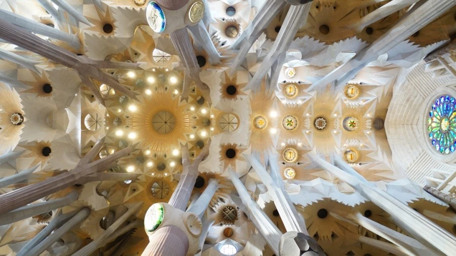 DSC09505%E3%85%A1.jpg?type=w1