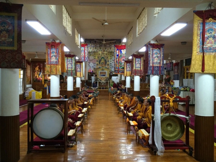 IMG_2154.jpg?type=w1