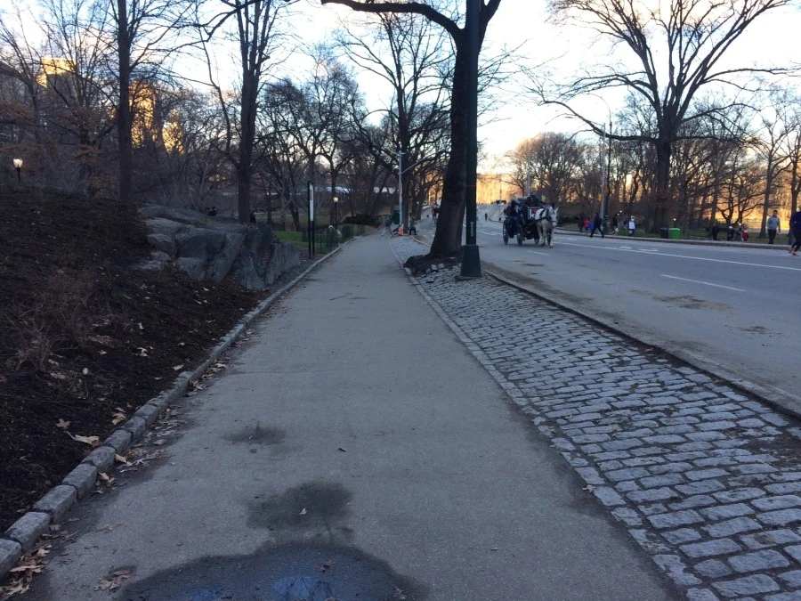 IMG_8052.jpg?type=w1