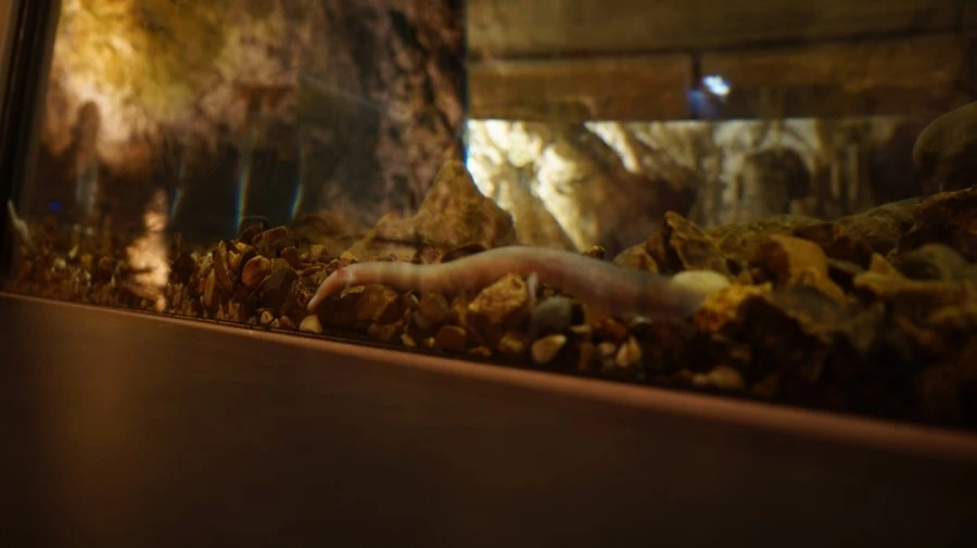 DSC06461.jpg?type=w1