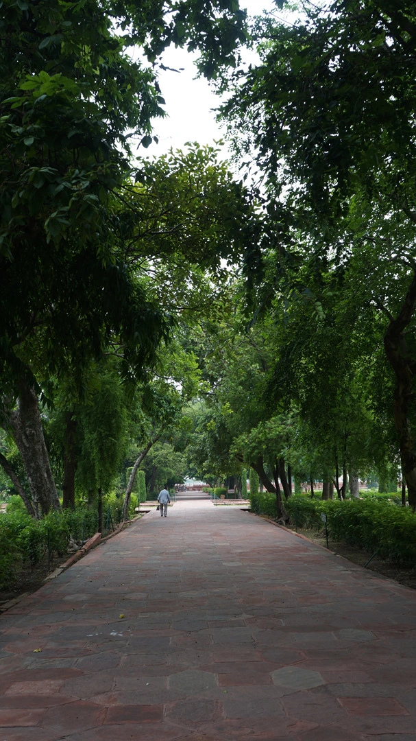 DSC03318.jpg?type=w1