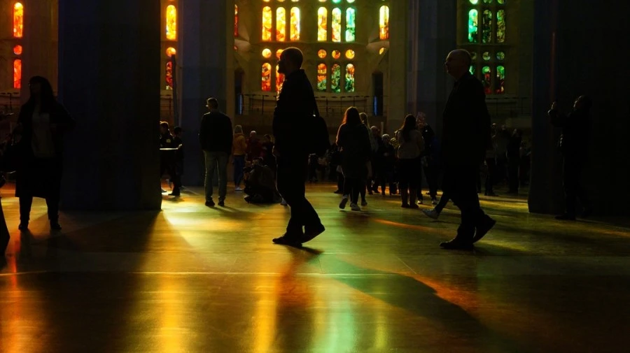 DSC09512%E3%85%A1.jpg?type=w1