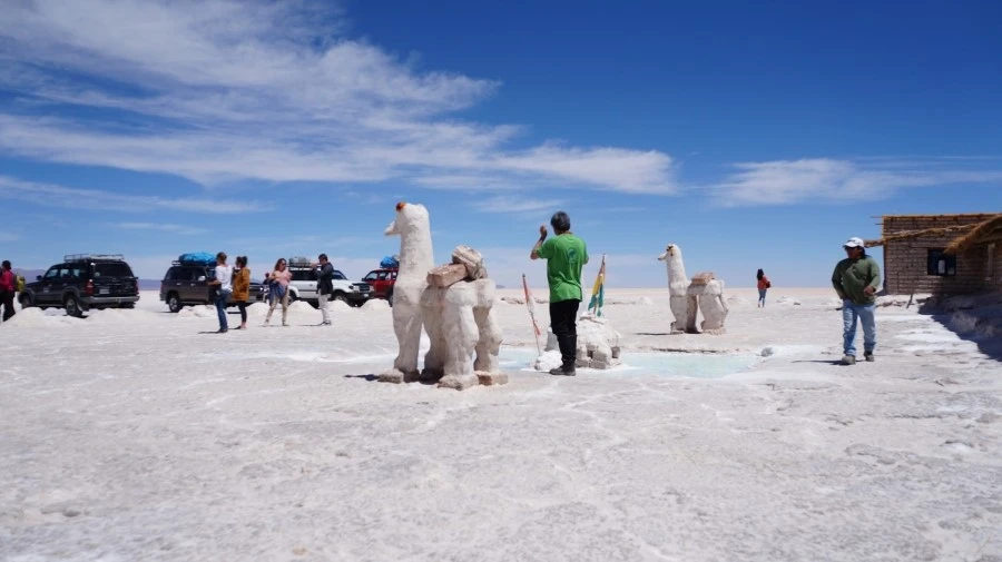 DSC01209.jpg?type=w1