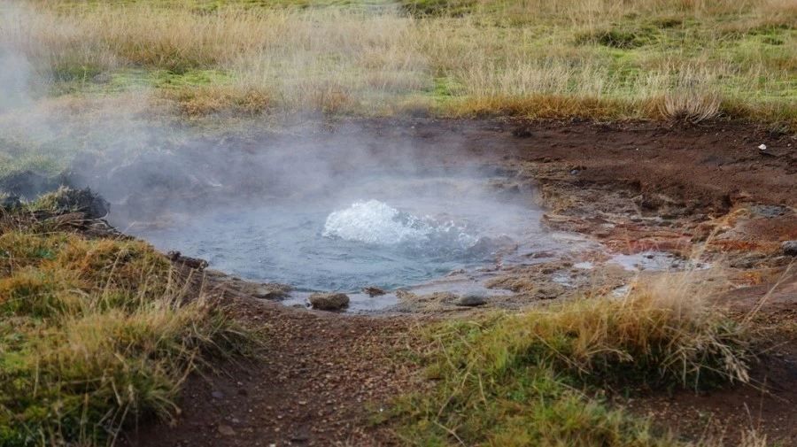 DSC07759.jpg?type=w1