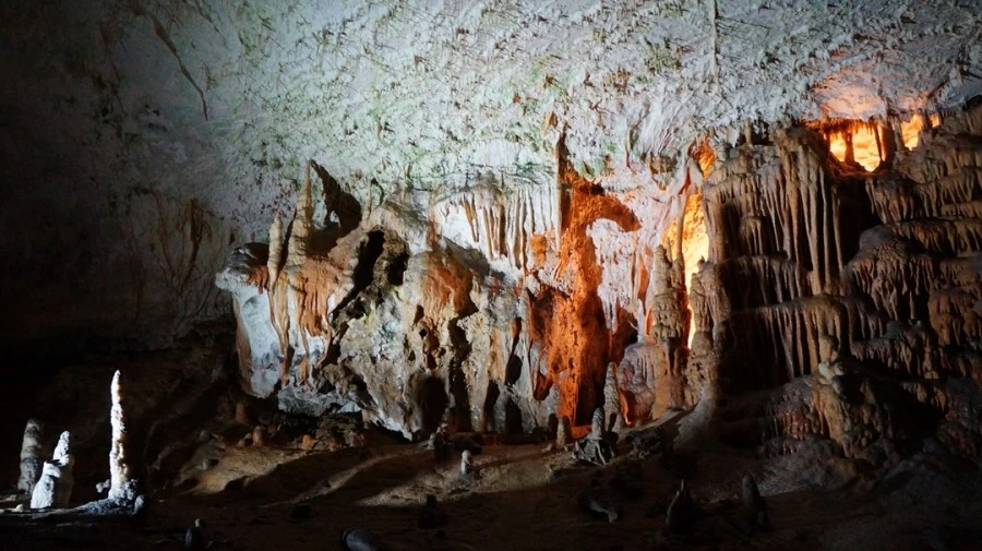 DSC06339%A4%D1.jpg?type=w1