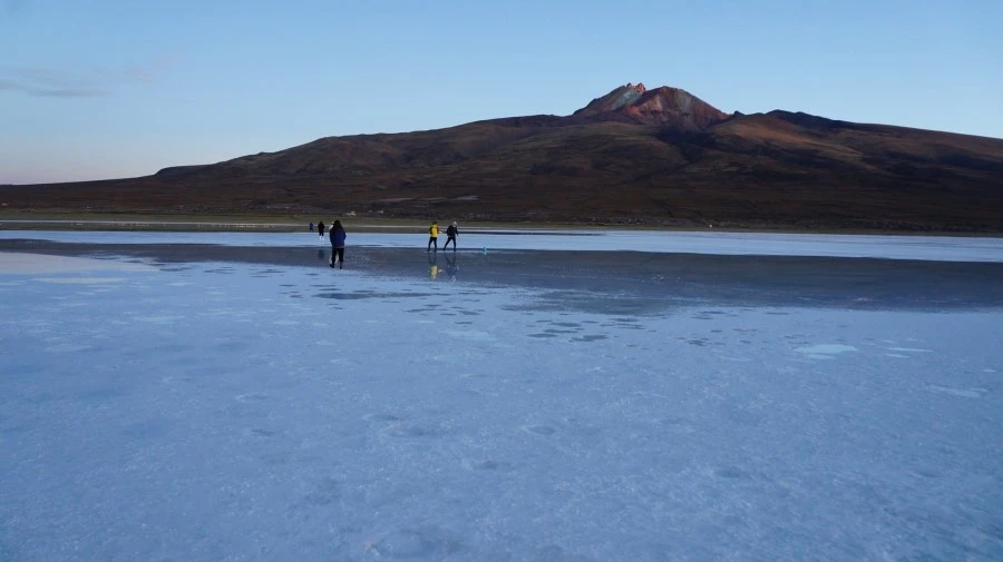 DSC00908.jpg?type=w1