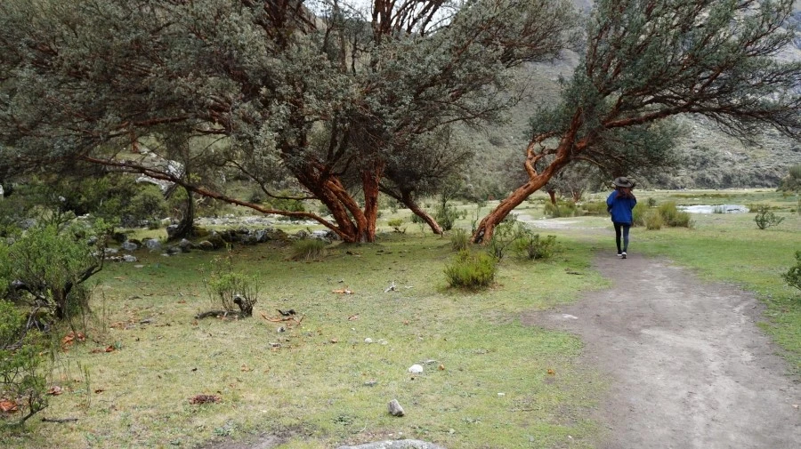 DSC01797.jpg?type=w1