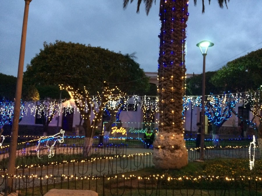 IMG_7407.jpg?type=w1