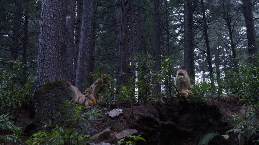 DSC02616.jpg?type=w1