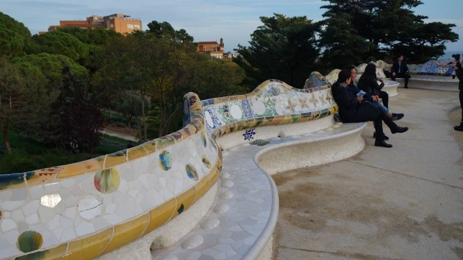 DSC09769.jpg?type=w1