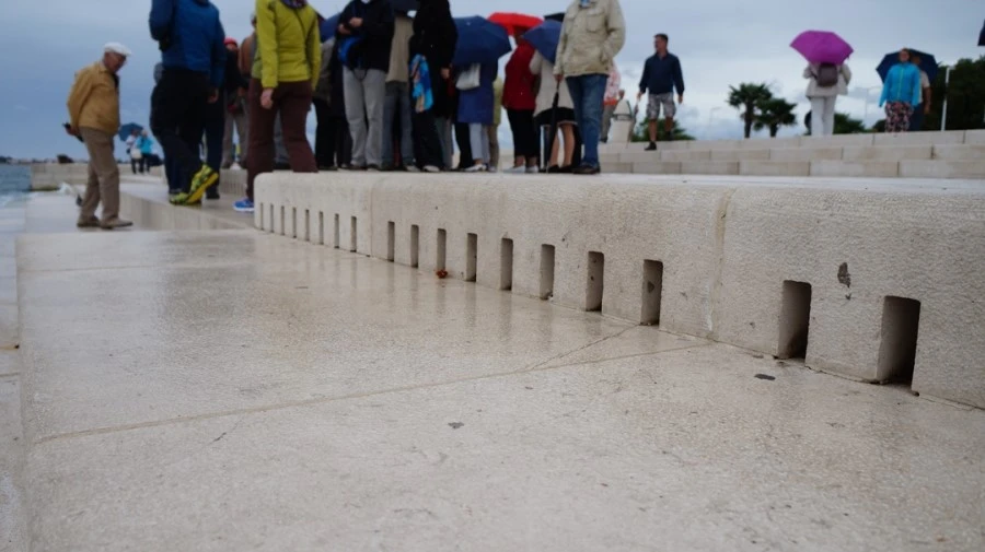 DSC06161.jpg?type=w1