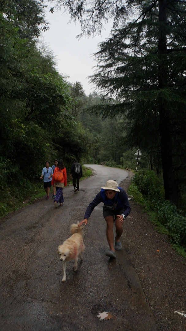 DSC02596.jpg?type=w1