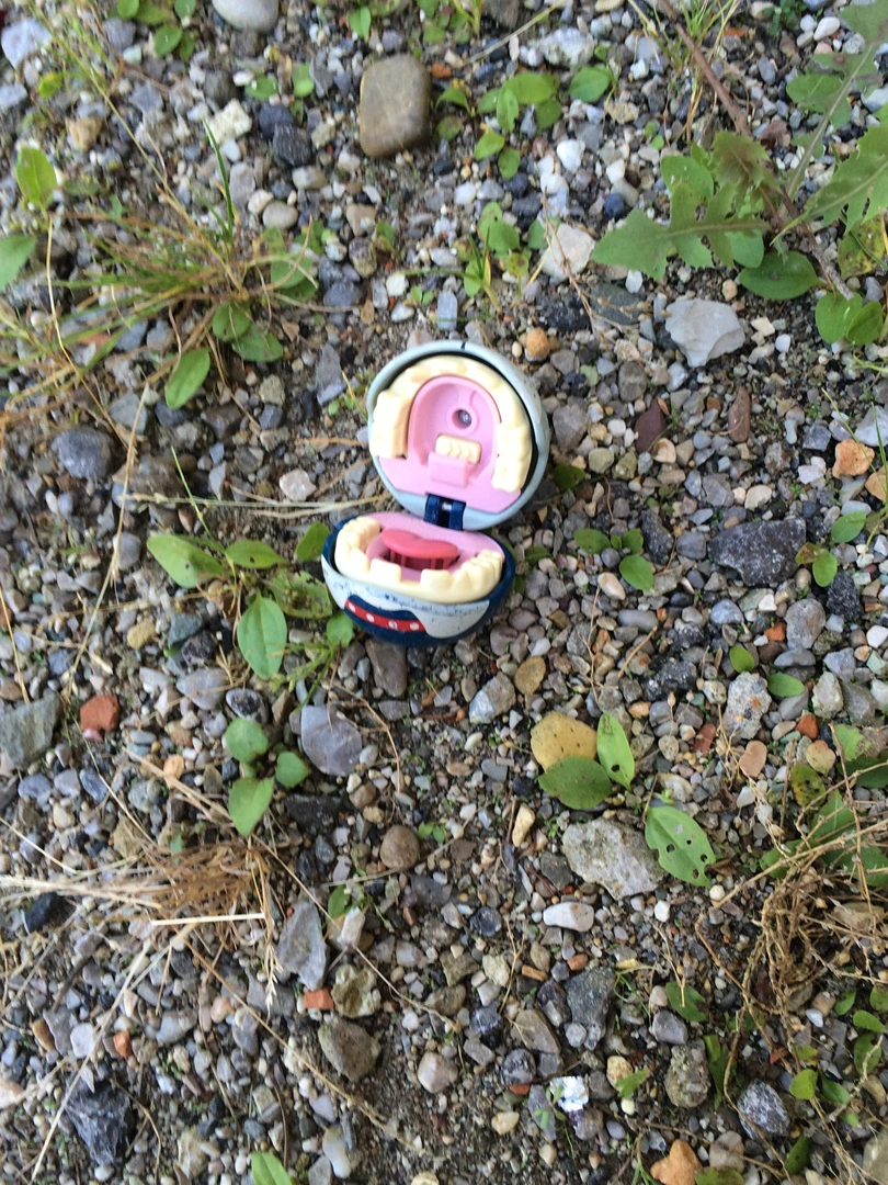 IMG_3747.jpg?type=w1