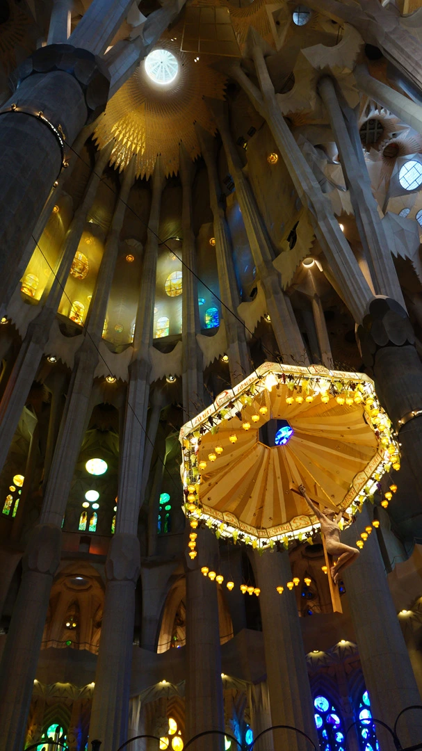 DSC09521%E3%85%A1.jpg?type=w1