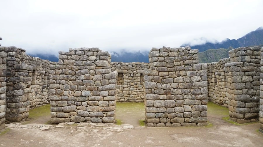 DSC01511.jpg?type=w1