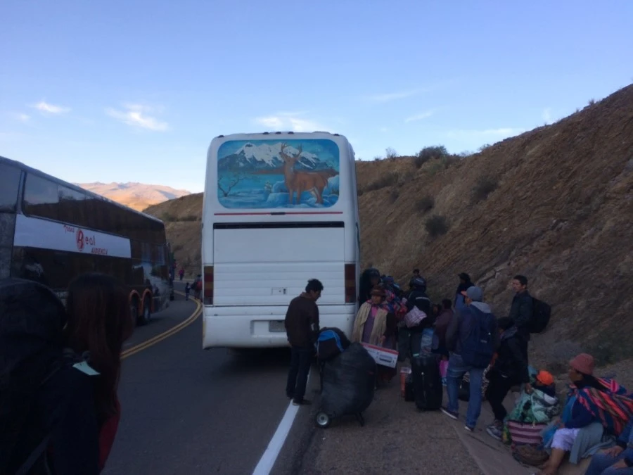 IMG_7338.jpg?type=w1