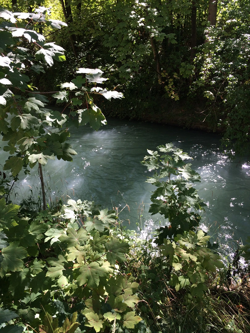 IMG_3722.jpg?type=w1