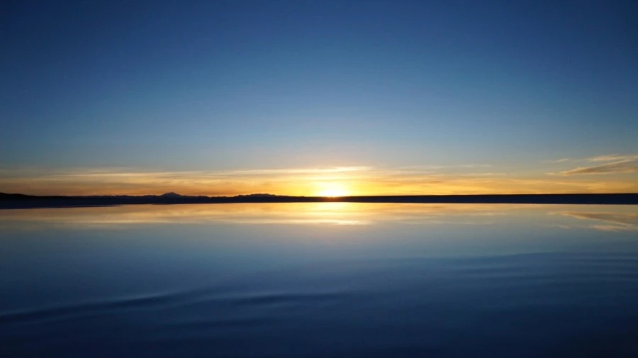 DSC00910.jpg?type=w1