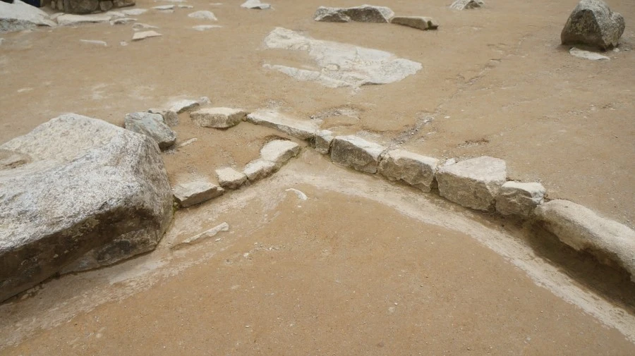 DSC01483.jpg?type=w1