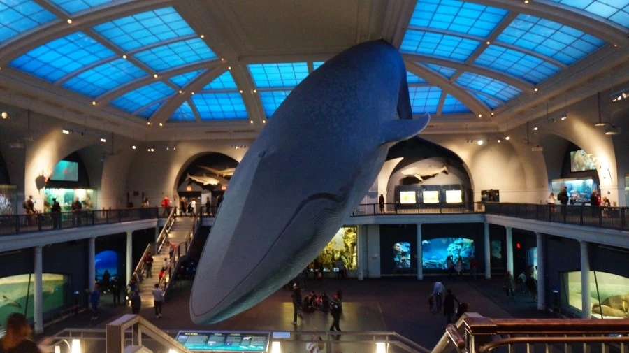 DSC04366.jpg?type=w1