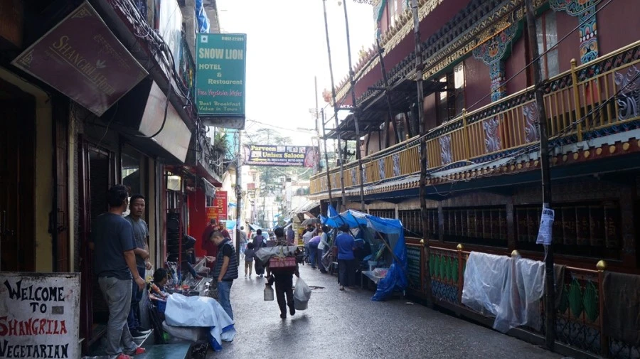 DSC02513.jpg?type=w1