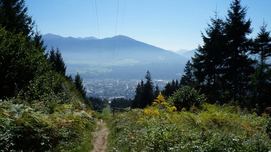 DSC04812.jpg?type=w1