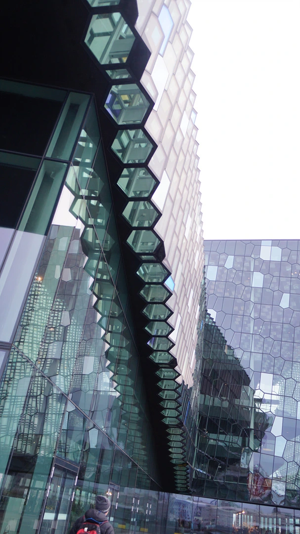 DSC09300.jpg?type=w1