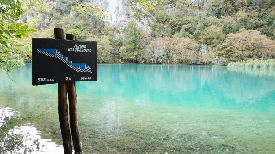 DSC05615.jpg?type=w1