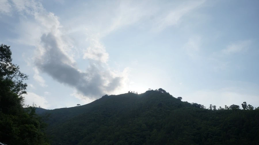 DSC00924%A4%BB.jpg?type=w1