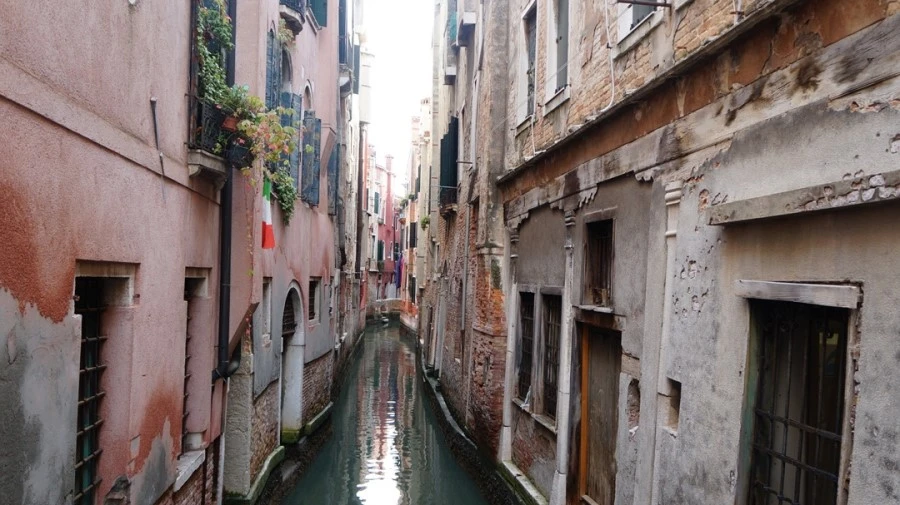 DSC06657.jpg?type=w1