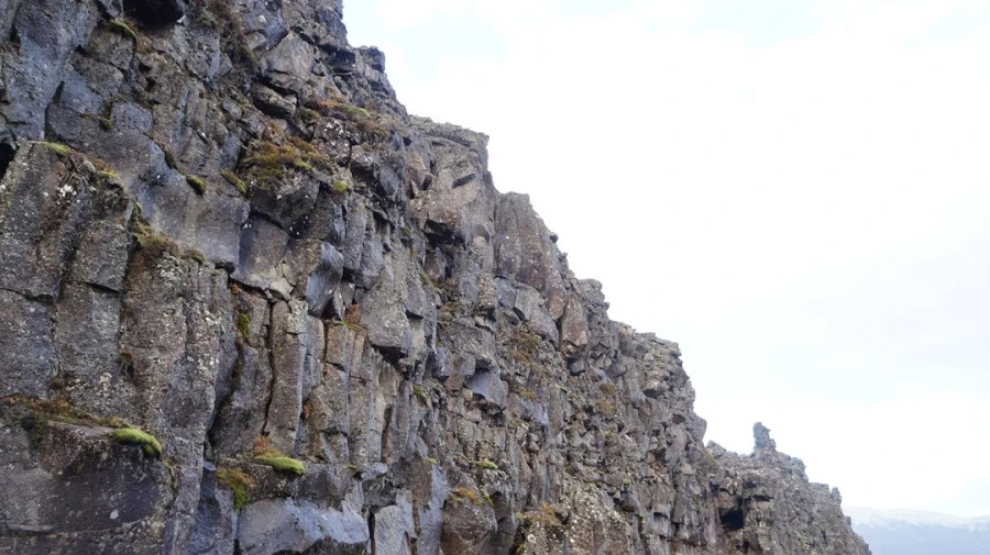 DSC07535.jpg?type=w1