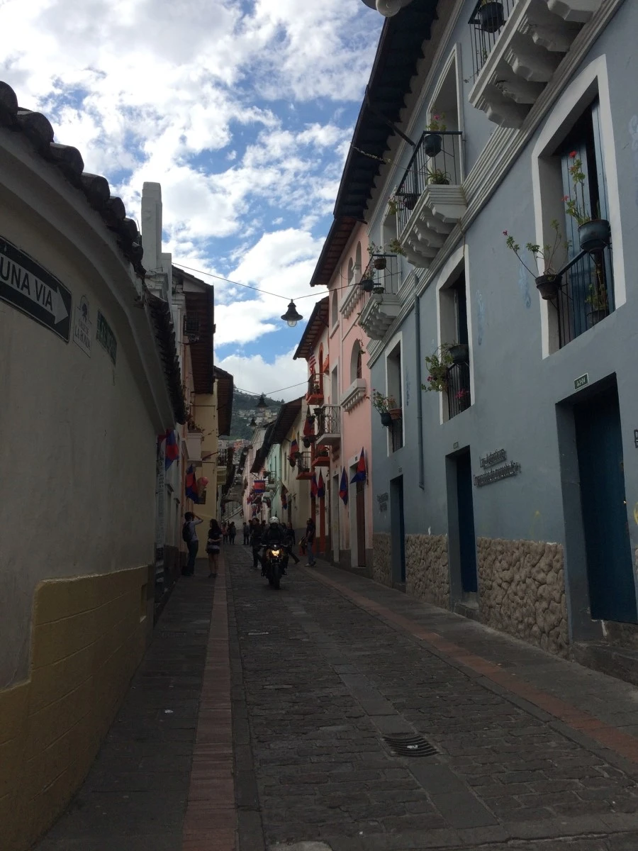 IMG_8011.jpg?type=w1