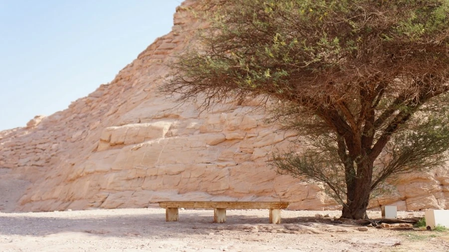 DSC04258%A4%D1.jpg?type=w1