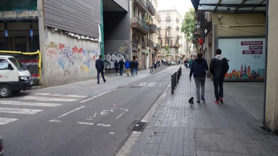 DSC09324.jpg?type=w1