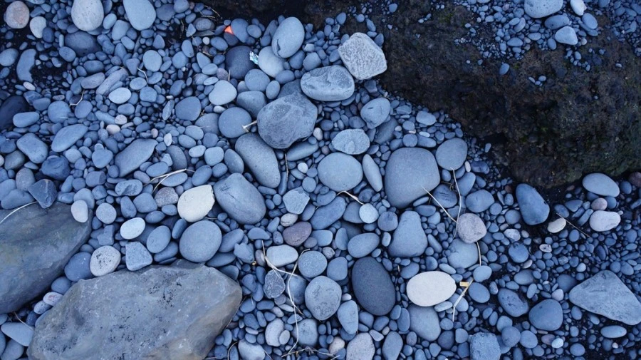 DSC08367%E3%85%A1.jpg?type=w1