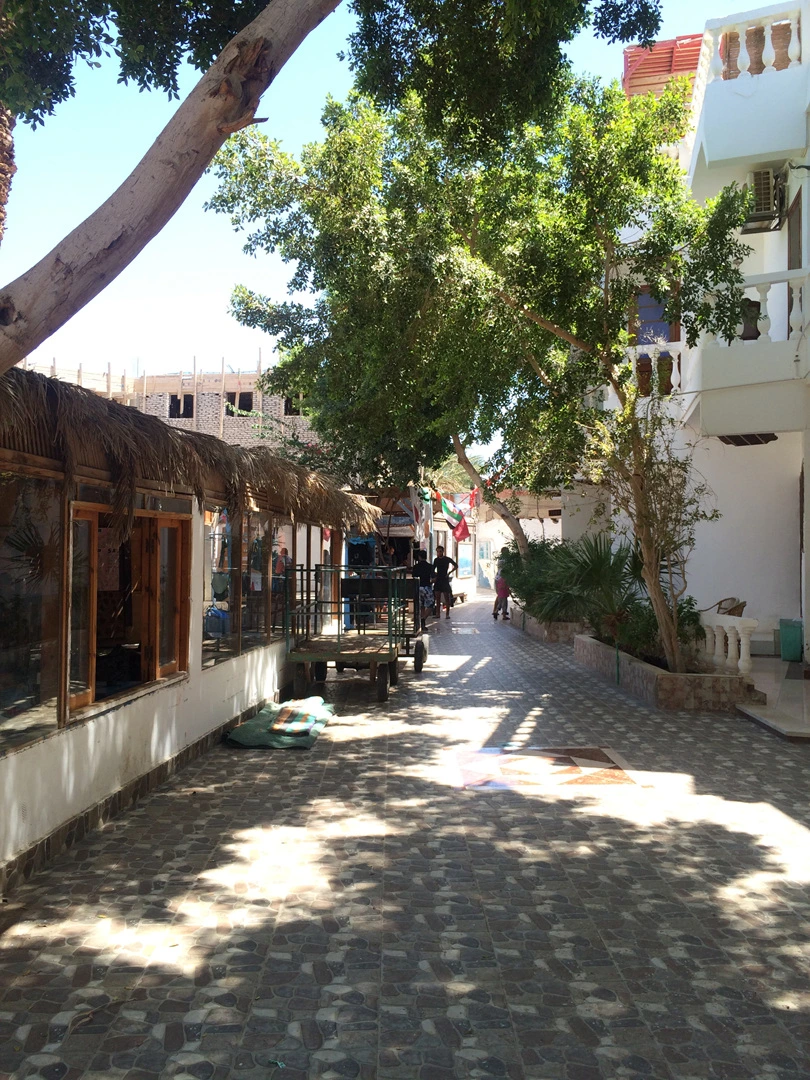 IMG_2757.jpg?type=w1