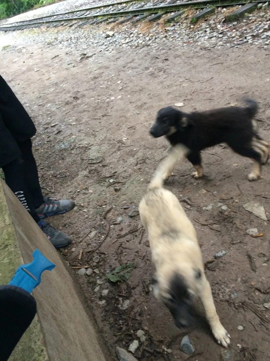 IMG_7762.jpg?type=w1